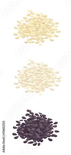 Sesame seeds, white, fried and black - this is a set vector illustration in a flat design, highlighted, realistic drawing, without background. for any advertisement, showcase, menu or bulletin board