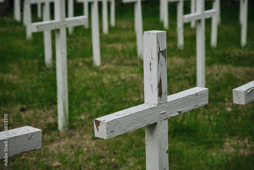 Lumivaara, Republic of Karelia. Old abandoned Finnish cemetery in Russia. Burial culture. Minimalistic background. White wooden crosses stand in row and green manicured lawn. photo