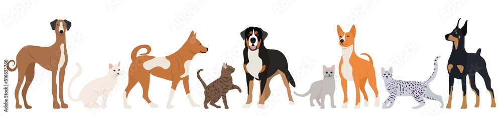 cats and dogs in flat style, isolated