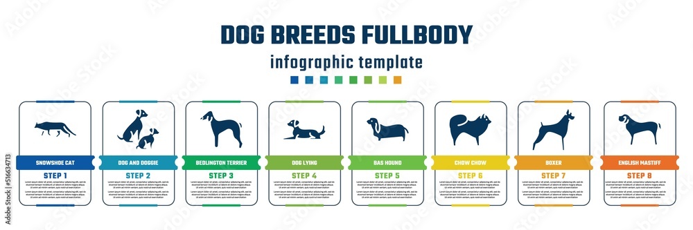 dog breeds fullbody concept infographic design template. included snowshoe cat, dog and doggie, bedlington terrier, dog lying, bas hound, chow chow, boxer, english mastiff icons and 8 steps or