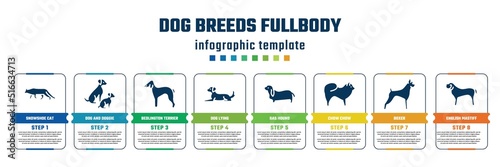 dog breeds fullbody concept infographic design template. included snowshoe cat, dog and doggie, bedlington terrier, dog lying, bas hound, chow chow, boxer, english mastiff icons and 8 steps or