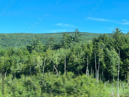 Road Trip through the Green Mountain State Vermont