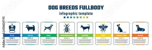 dog breeds fullbody concept infographic design template. included pet clo, shih tzu, beagle, golden ground beetle, chihuahua, sawfly, yorkshire terrier, bas houd icons and 8 steps or options.
