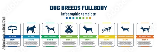 dog breeds fullbody concept infographic design template. included pet collar, malamute, german shorthaired pointer, hoverfly, french bulldog, locust, american staffordshire terrier, jack russell