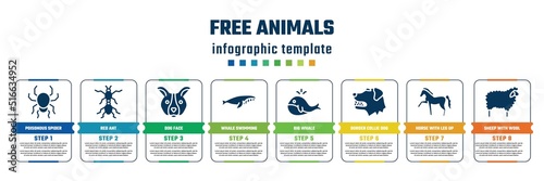 Fototapeta Naklejka Na Ścianę i Meble -  free animals concept infographic design template. included poisonous spider, red ant, dog face, whale swimming, big whale, border collie dog head, horse with leg up, sheep with wool icons and 8