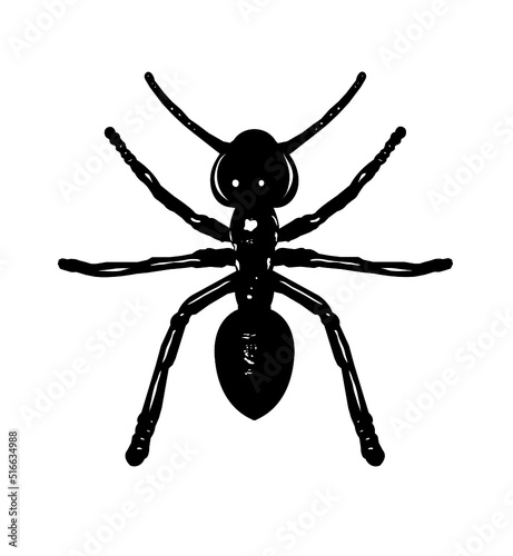 Ant silhouette isolated on white background.