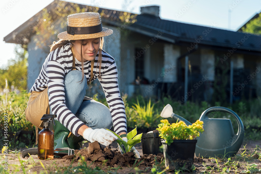 Stylish young woman-gardener planting a plant in garden Stylish young woman-gardener planting a plant in garden