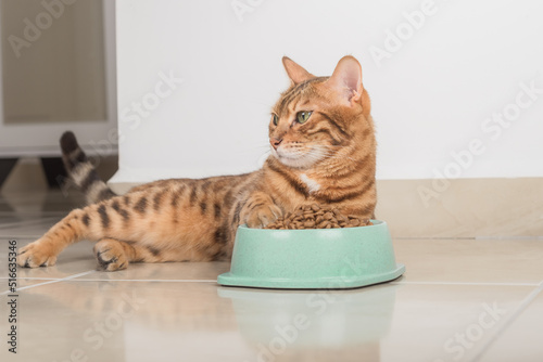Satisfied Bengal cat next to a bowl full of dry food.