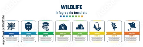 wildlife concept infographic design template. included cobweb, baboon, tornado, jaima tent, anthill, harebell, herb, manta ray icons and 8 steps or options.