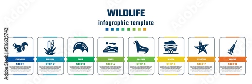 wildlife concept infographic design template. included chipmunk, bulrush, tapir, dunes, sea lion, wagon, starfish, vaccine icons and 8 steps or options.