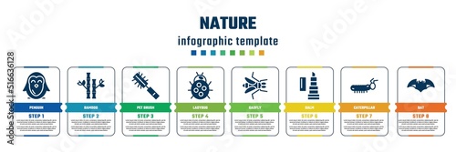 nature concept infographic design template. included penguin, bamboo, pet brush, ladybug, gadfly, balm, caterpillar, bat icons and 8 steps or options.