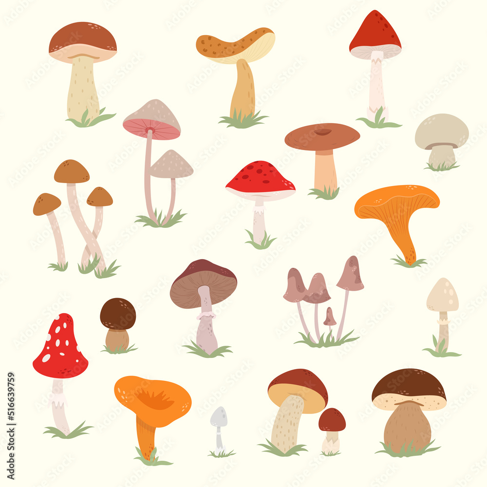 Set with mushrooms. Autumn collection flat illustration. 