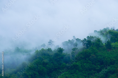 Autumn landscape with silhouettes of hills and trees, panoramic tree background,Foggy Mountain view © Sourav