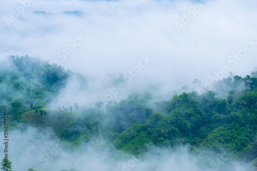 Foggy Mountain view, Mountains in the morning, Mountain tree lines under the fog