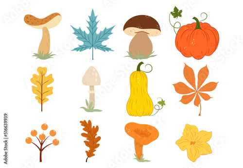 Set of autumn icons. Collection with mushrooms  pumpkins  berries  autumn leaves. Vector illustration ready for print.