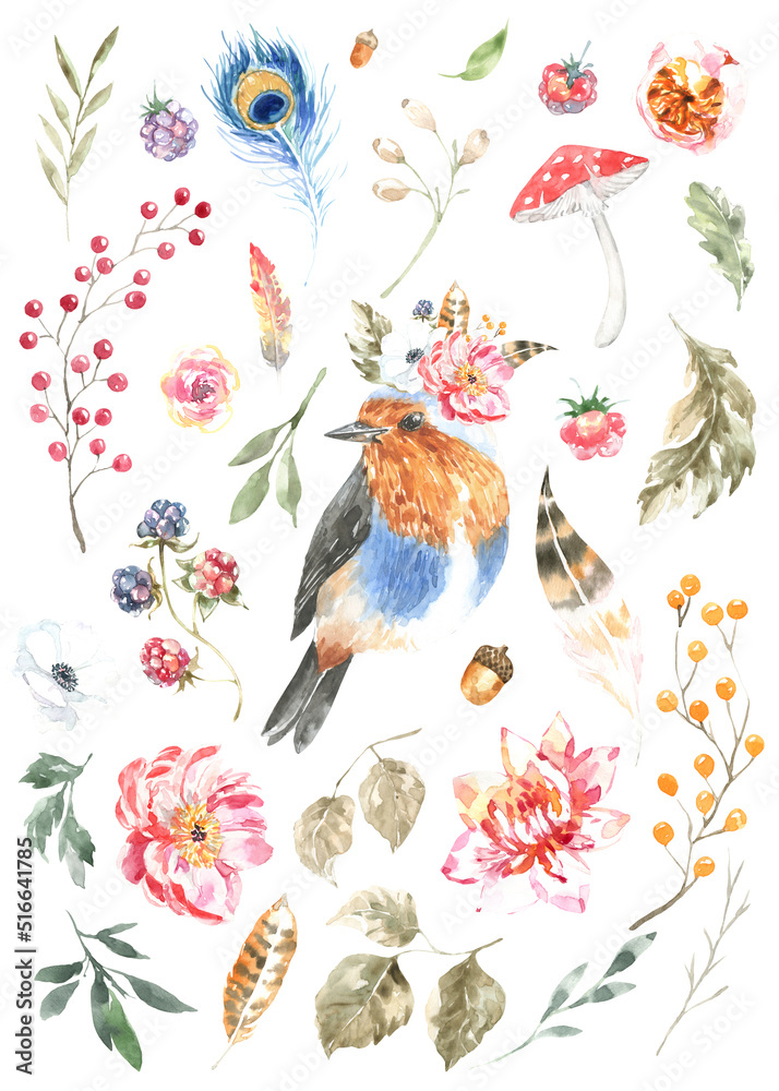 Watercolor woodland bird animal boho illustration set. Forest floral botanical elements berry,greenery, peony, anemone isolated. Create character, frame, card for wedding,baby shower,invite diy 