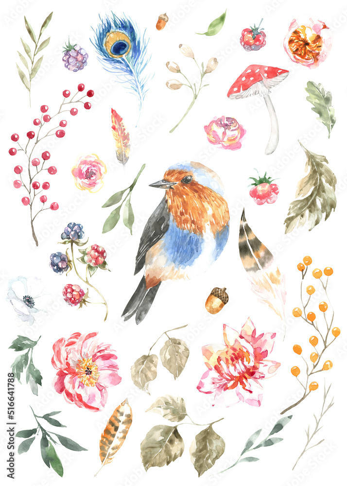 Watercolor woodland bird animal boho illustration set. Forest floral botanical elements berry,greenery, peony, anemone isolated. Create character, frame, card for wedding,baby shower,invite diy 