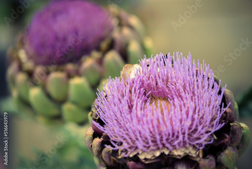 Artichokes
