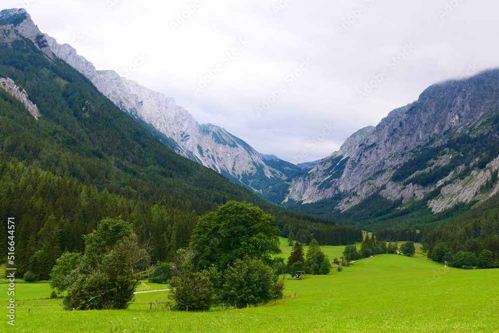 Kalkalpen Kalkalpen