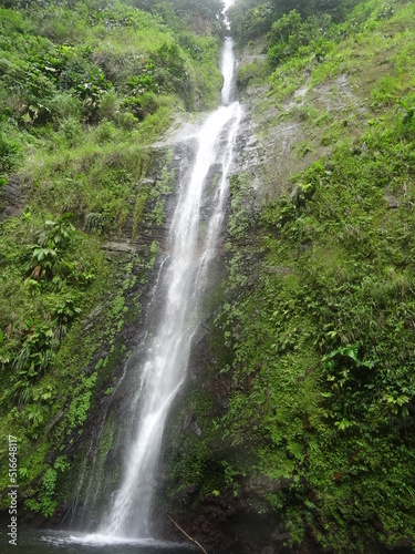 Une grande cascade dans la luxuriante forêt tropicale