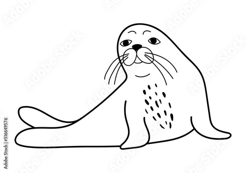 The animal is a navy seal. Monochrome logo of a marine animal. Vector isolated hand drawing in doodle style. Contour linear isolated icon. The page of the coloring book.