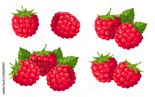Set of fresh raspberries in cartoon style. Vector illustration of berries large and small sizes with leaves and separately on white background.