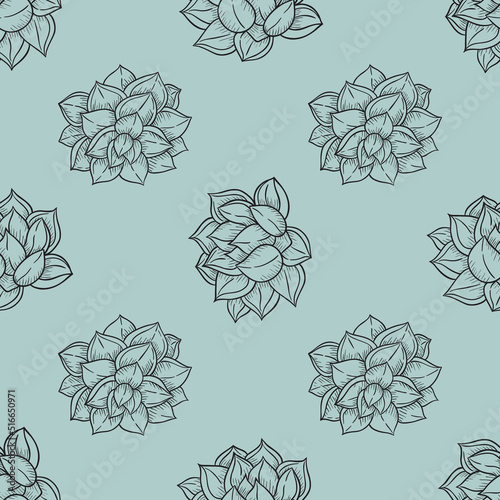 vector abstract seamless pattern with echeveria plant-03