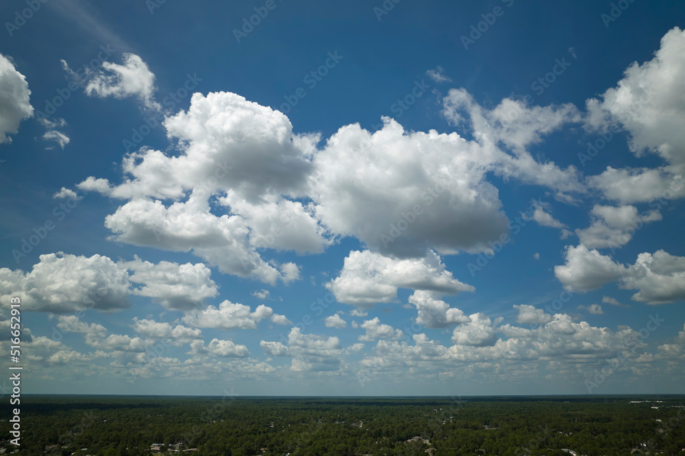 Aerial landscape view of clear blue sky over green cultivated agricultural fields with growing crops and distant woodland on bright summer day Aerial landscape view of clear blue sky over green cultivated agricultural fields with growing crops and distant woodland on bright summer day