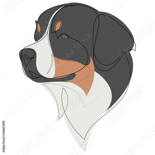 Continuous line Bernese Mountain Dog. Single line minimalist style dog vector illustration. Portrait