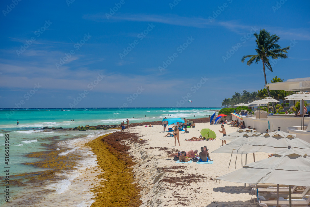 Lady in sexy string bikini sunbathing on a sandy beach with seaweeds in Playa del Carmen, Yukatan, Mexico