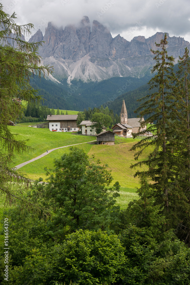 Abetos y Danta Maddalena en el Valle de Funes con las montañas de las Dolomitas de fondo en la región de Bolzano, Italia