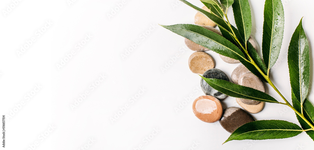 stones and leaves on a light background, background for presentation stones and leaves on a light background, background for presentation