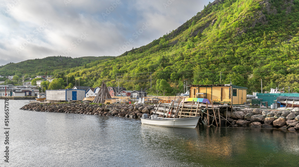 Overview of the fishing harbour at the village of Petty Harbour