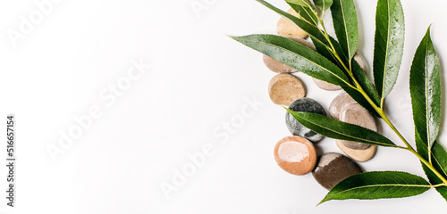 stones and leaves on a light background, background for presentation
