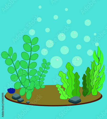 Vector ocean world. Exotic seascapes with seaweeds. Colorful background. Aquatic ecosystem. Illustration of underwater life.  Aaquarium underwater sea life nature, icons, isolated vector illustration. photo