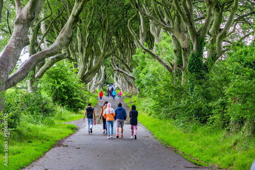 Dark Hedges -iconic beech trees - Kingsroad in HBO's epic series Game of Thrones - Northern Ireland