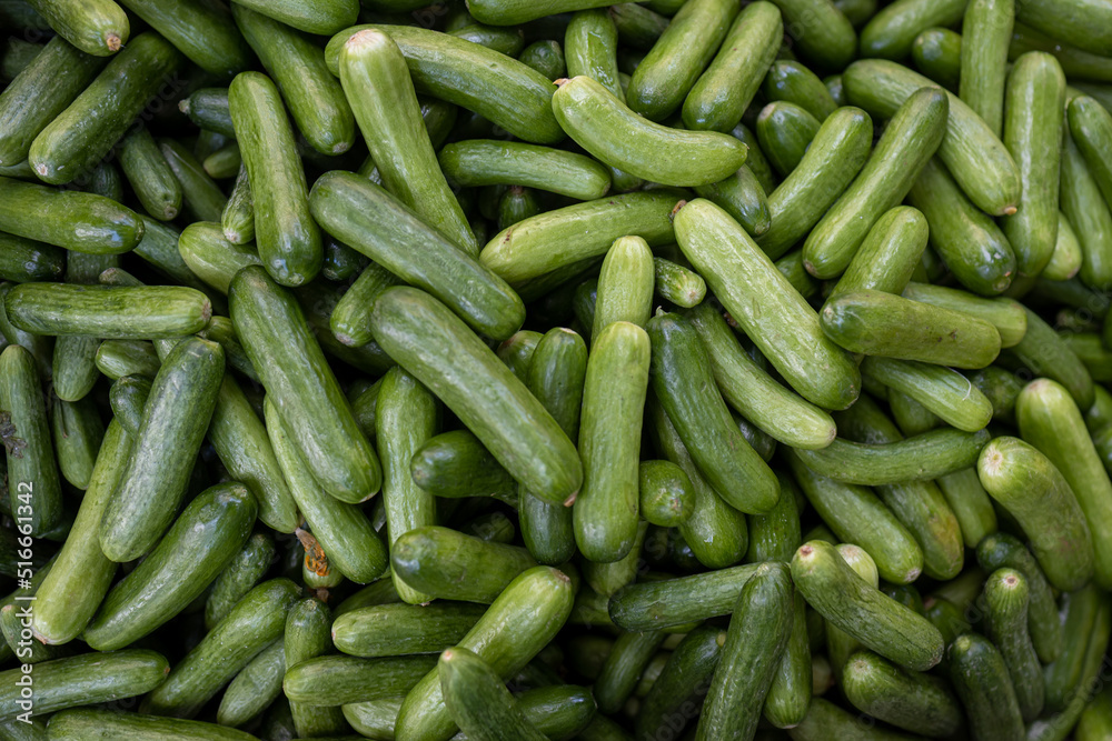 Fresh cucumbers in a box at a farmer's market in Israel