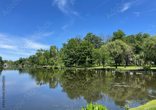 View on the lake surrounded by greenery, still water, reflections, summer	
