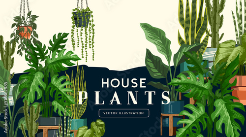 A large and varied selection of indoor home house plants with pots. Garden and wellbeing vector illustration