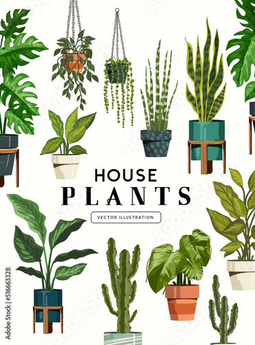 A varied collection of green indoor house plants. Botanical decoration vector illustration.