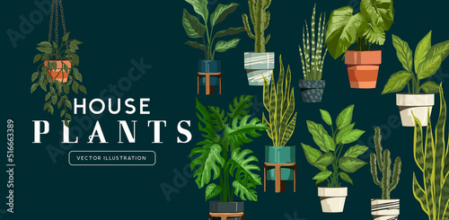 A large collection of garden indoor houseplants. Botanical vector illustration