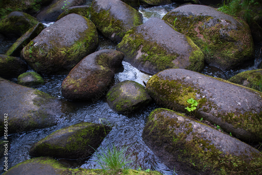 a mountain river with huge stones with green moss.wild forest of taiga. a mountain river with huge stones with green moss.wild forest of taiga.