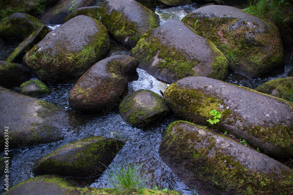 a mountain river with huge stones with green moss.wild forest of taiga.