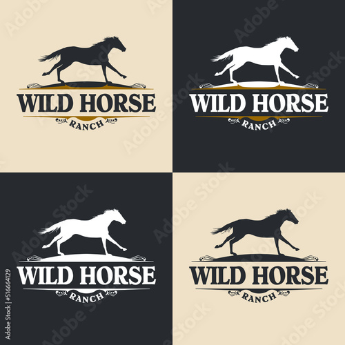 A horse logo with western design elements and a silhouette of a horse.