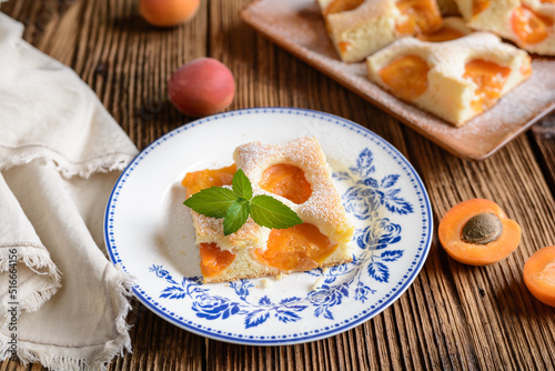 Homemade apricot sponge cake sprinkled with powdered sugar