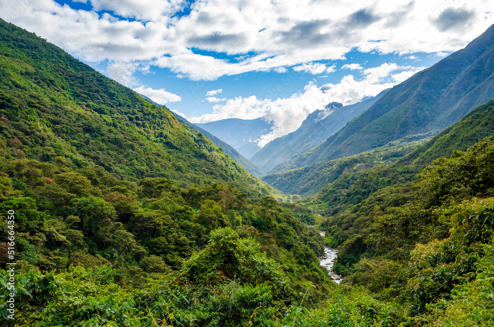 Vista de Valle Inca con bosque nuboso - desde el Salkantay Trek, Peru
