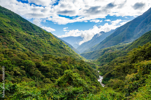 Vista de Valle Inca con bosque nuboso - desde el Salkantay Trek, Peru