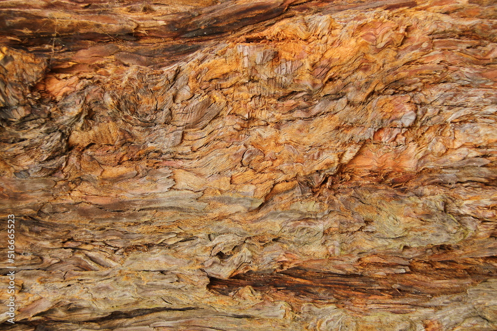 Natural wood bark background