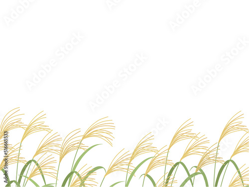 ススキ_フレーム_ベクターイラスト