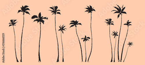 Palm trees. Textured ink brush drawing